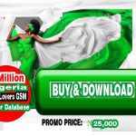 Best Affordable Nigeria eBook Lovers GSM Numbers For eBook Promotion